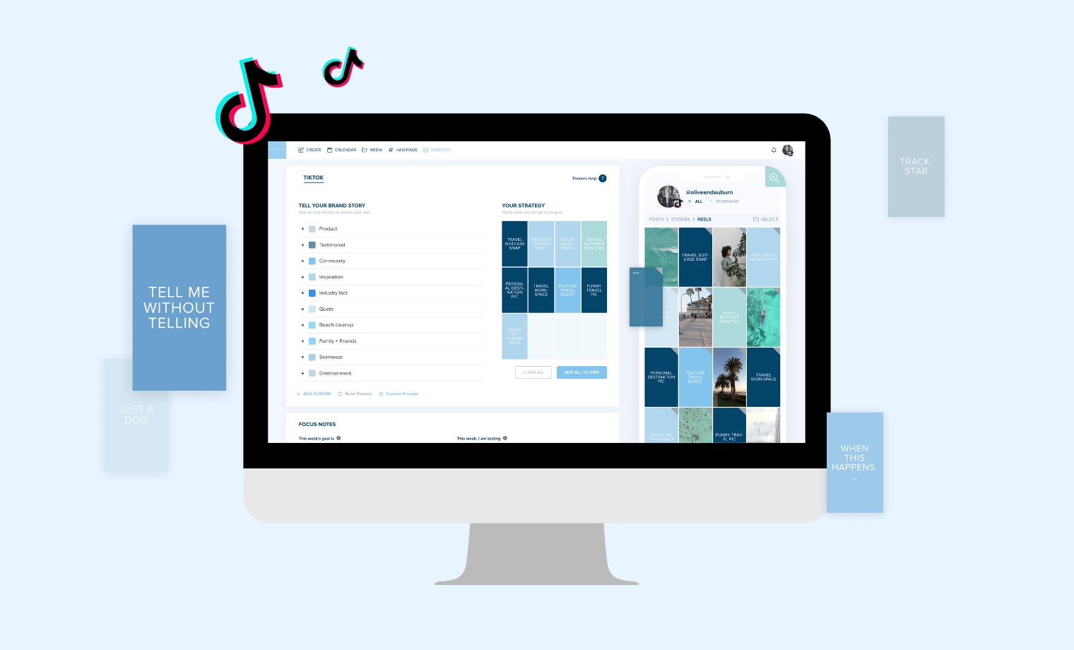TikTok Strategy Web TikTok Strategy Web